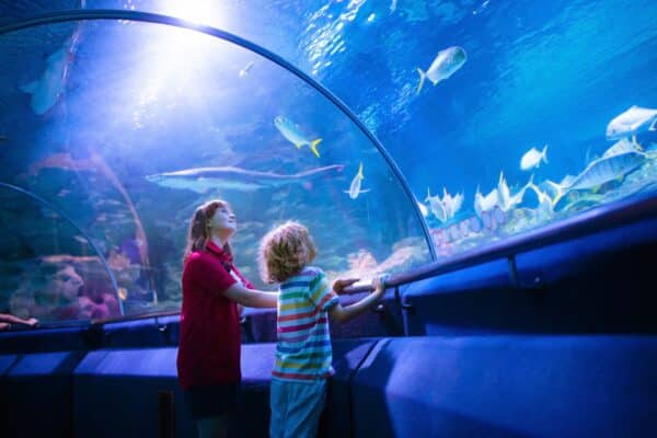 Family,In,Aquarium.,Kids,Watch,Tropical,Fish,,Marine,Life.,Child